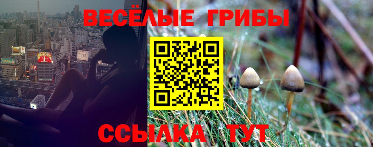 Псилоцибиновые грибы мухоморы Жуковский