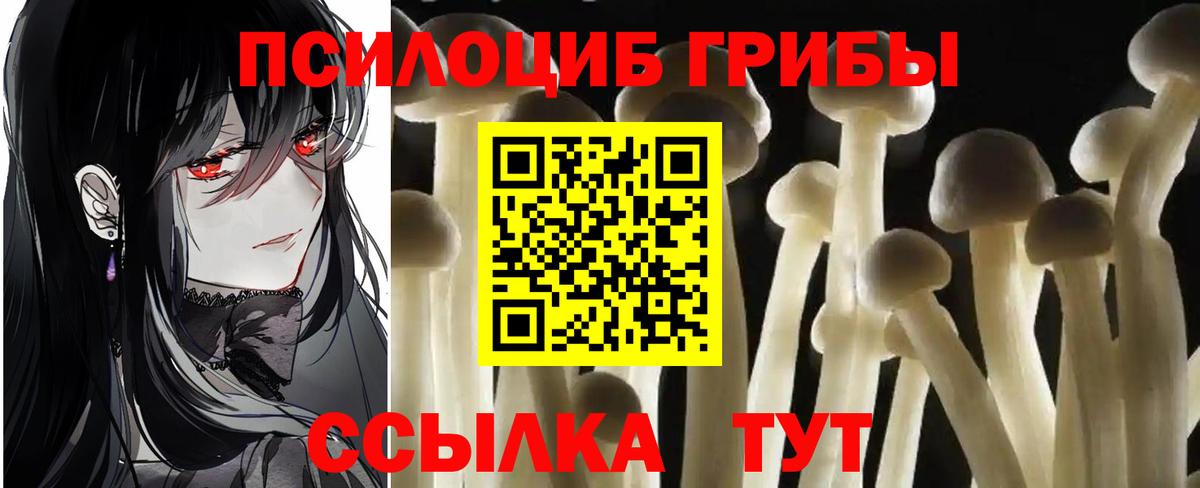 Жуковский  Псилоцибиновые грибы мухоморы  Вход с VPN  Псилоцибиновые грибы Cubensis 